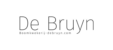 de_bruyn