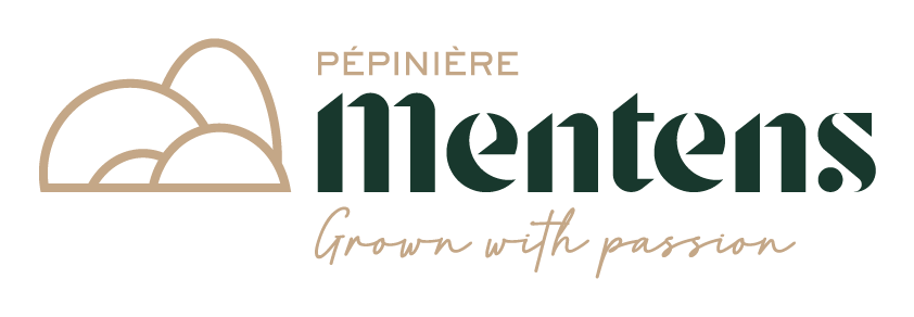 Mentens FR